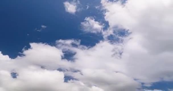 Time Lapse Blue Sky Clouds Summer Season Good Weather Day — Stok Video