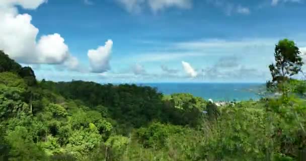 Vista Aérea Árvores Floresta Tropical Câmera Drone Montanhas Altas Ecologia — Vídeo de Stock