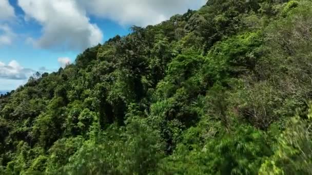 Widok Lotu Ptaka Dron Aparat Drzewa Deszczowe Wysokich Górach Ekologia — Wideo stockowe