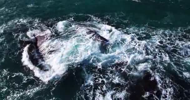 Удивительное Море Большие Волны Разбивающиеся Скалы Морской Мыс Воздушный Беспилотник — стоковое видео