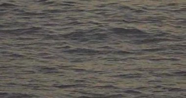 Karanlık okyanus suyunun dalgaları kapanıyor. Deniz zemininde akıyor.