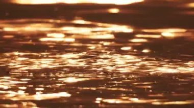 Karanlık okyanus suyunun dalgaları kapanıyor. Deniz zemininde akıyor.