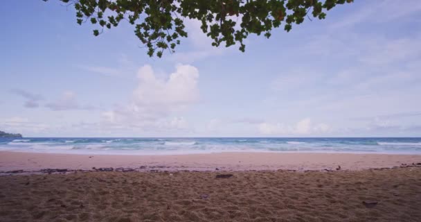 木々と島の素晴らしいビーチは 海にフレームを残しています 白い砂浜 晴れた空の夏の風景の背景を持つビーチのボーダーフレームを残します — ストック動画