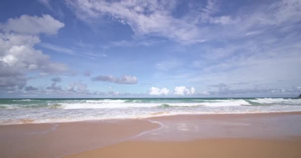 Incredibile Spiaggia Sulle Isole Con Alberi Foglie Cornice Sull Oceano — Video Stock