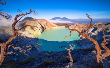 Turkuaz Su Gölü ile Deadwood Yapraksız Ağacı, Güzel doğa manzarası dağı ve Kawah Ijen volkanı, Doğu Java, Endonezya 'da yeşil göl