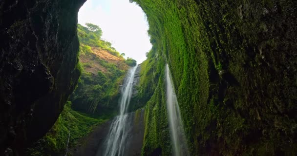 Increíble Hermosa Cascada Madakaripura Selva Tropical Parque Nacional Java Oriental — Vídeos de Stock