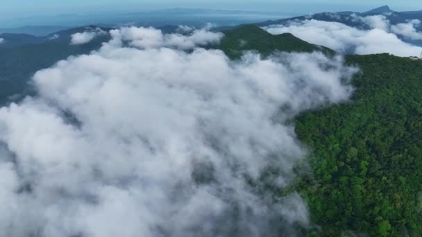 Luchtfoto Vliegen Mist Zonsopgang Hemel — Stockvideo