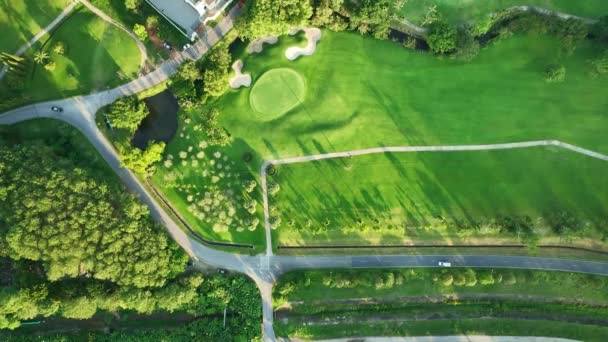 Aerial View Beautiful Green Golf Field Fairway Putting Green — Stock Video