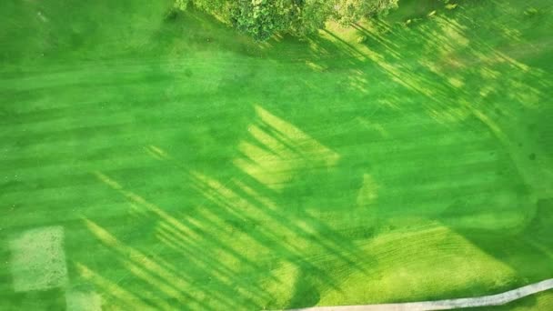 Flygfoto Över Vackra Gröna Golffält Fairway Och Putting Green — Stockvideo