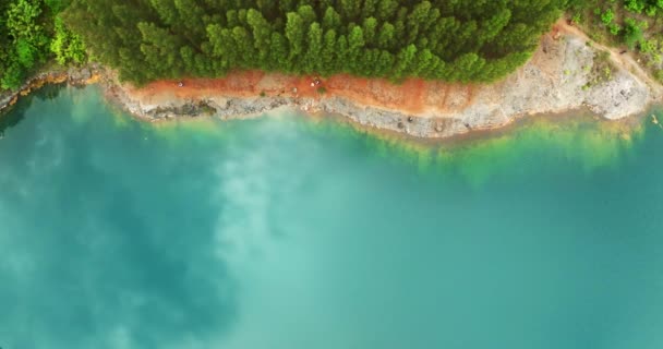 Вид Воздуха Озеро Пруд Удивительный Вид Красивую Свежую Девственную Природу — стоковое видео