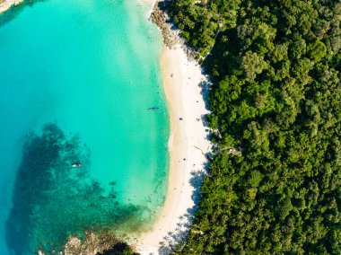 Özgürlük Sahili Phuket Tayland 'daki güzel Phuket Adası' ndaki Tropikal sahil manzarası inanılmaz.