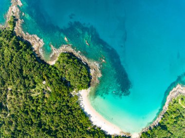 Özgürlük Sahili Phuket Tayland 'daki güzel Phuket Adası' ndaki Tropikal sahil manzarası inanılmaz.