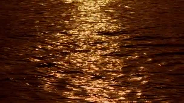 Solnedgångsljus Havsvattenytan Solstrålar Flimrar Havet Skimrande Havsvågor Solen Abstrakt Bakgrund — Stockvideo