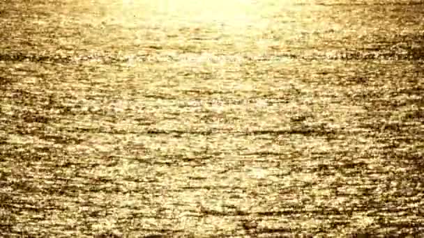 海水面に日光が当たる 太陽の抽象的な背景で海の波を輝かせる太陽光線 アマゾンな秋の背景 — ストック動画