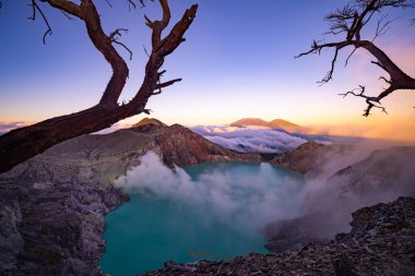 Turkuaz Su Gölü ile Deadwood Yapraksız Ağacı, Güzel doğa manzarası dağı ve Kawah Ijen volkanı, Doğu Java, Endonezya 'da yeşil göl