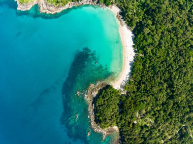 Özgürlük Sahili Phuket Tayland 'daki güzel Phuket Adası' ndaki Tropikal sahil manzarası inanılmaz.
