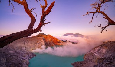 Turkuaz Su Gölü ile Deadwood Yapraksız Ağacı, Güzel doğa manzarası dağı ve Kawah Ijen volkanı, Doğu Java, Endonezya 'da yeşil göl