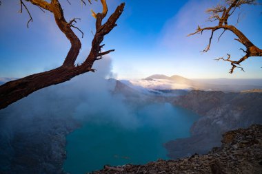 Turkuaz Su Gölü ile Deadwood Yapraksız Ağacı, Güzel doğa manzarası dağı ve Kawah Ijen volkanı, Doğu Java, Endonezya 'da yeşil göl