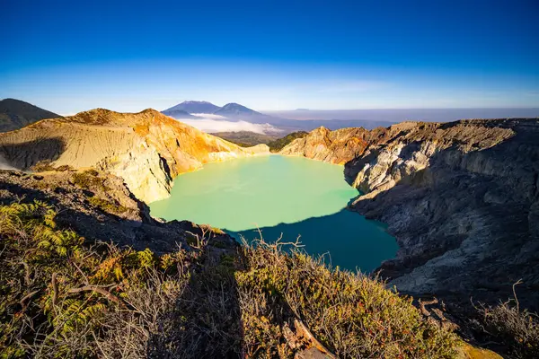 Turkuaz Su Gölü ile Deadwood Yapraksız Ağacı, Güzel doğa manzarası dağı ve Kawah Ijen volkanı, Doğu Java, Endonezya 'da yeşil göl