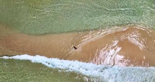Дивовижні Хвилі Розбиваються Піщаному Березі Вид Зверху Красивий Морський Фон — стокове відео