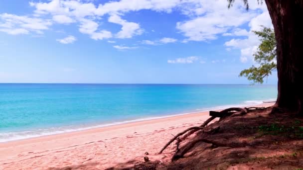 砂浜に衝突する驚くべき波 トップビュー美しい海の背景 ビーチの海の夏の季節の背景 — ストック動画