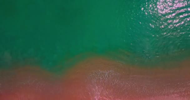 Erstaunliche Wellen Krachen Auf Sandstrand Schöne Meereskulisse Strand Meer Sommer — Stockvideo