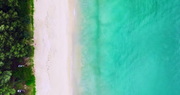 Úžasné Vlny Zřícení Písčité Pobřeží Krásné Moře Pozadí Pláž Moře — Stock video