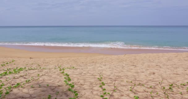 Καταπληκτικά Κύματα Συντρίβονται Στην Αμμώδη Ακτή Όμορφη Θάλασσα Φόντο Παραλία — Αρχείο Βίντεο