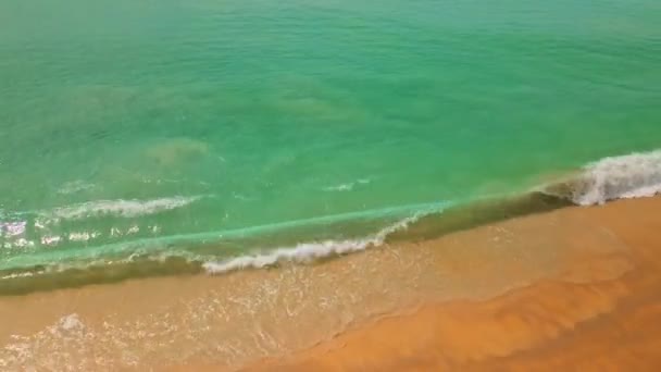 Fantastiska Vågor Kraschar Sandstrand Vacker Hav Bakgrund Beach Hav Sommar — Stockvideo