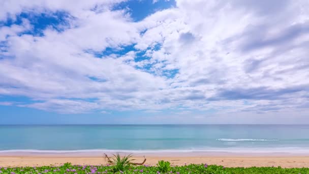 Timelapse Nature Landscape Beach Sea Clouds Moving Blue Sky Good — Stock Video