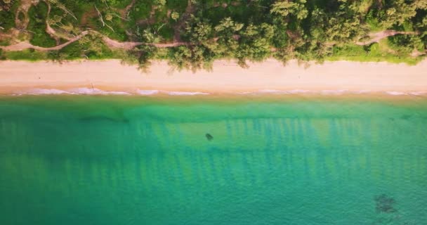 Surpreendentes Ondas Bater Costa Arenosa Belo Fundo Mar Praia Mar — Vídeo de Stock