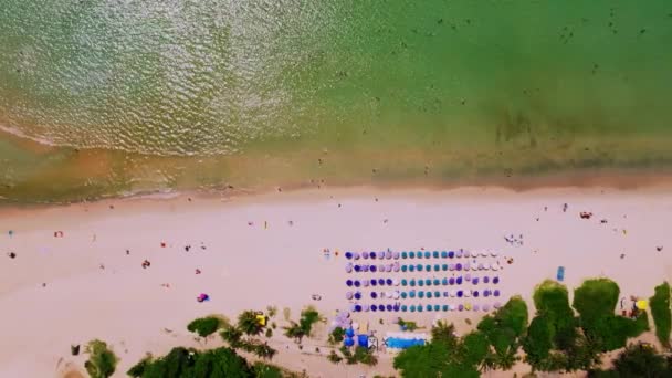 Geweldige Golven Crashen Zandstrand Bovenaanzicht Prachtige Zee Achtergrond Strand Zee — Stockvideo