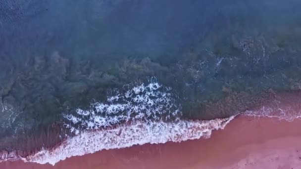 Widok Lotu Ptaka Tropikalne Morze Tło Krajobraz Natury Tle Letni — Wideo stockowe