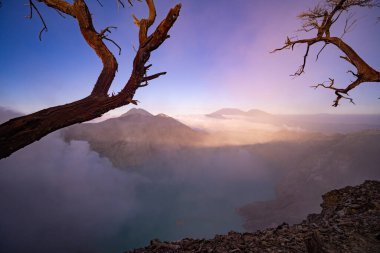Turkuaz Su Gölü ile Deadwood Yapraksız Ağacı, Güzel doğa manzarası dağı ve Kawah Ijen volkanı, Doğu Java, Endonezya 'da yeşil göl