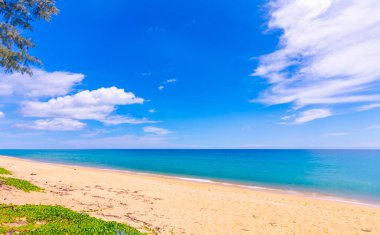 Yaz mevsiminde güzel deniz manzarası doğa arka planında
