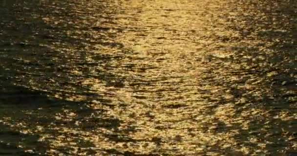 海浪在海洋中碰撞美丽的日出或日落的自然景观背景 — 图库视频影像
