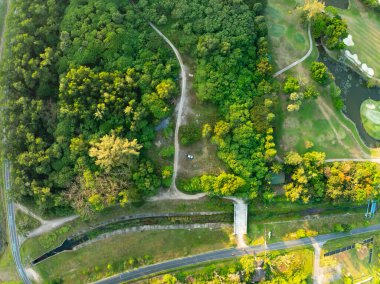 Hava görüntüsü İHA kamera yağmur ormanları ekolojisi sağlıklı çevre kavramı ve yaz arkaplanı