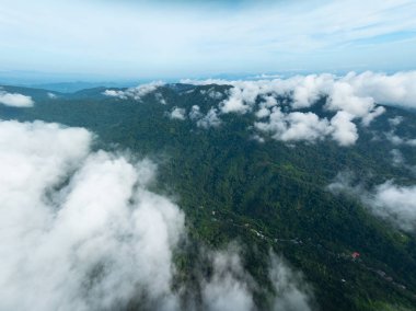 Dağlarda uçan sis dalgaları tropikal yağmur ormanları üzerinde kuş bakışı bulutlar üzerinde görüntüler Tayland 'da bulutlar ve dağların zirveleri ile inanılmaz doğa arka planı.