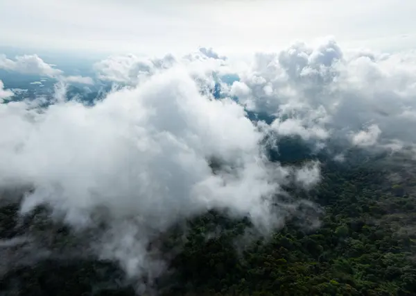 Luftaufnahme Fließende Nebelwellen Auf Bergen Tropischer Regenwald Vogelperspektive Bild Über — Stockfoto