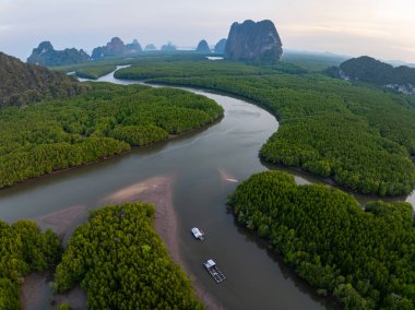 İnanılmaz bol mangrov ormanı, orman ağaçlarının havadan görünüşü yağmur ormanları ekosistemi ve sağlıklı çevre arka planı, tepeden tırnağa yeşil ağaçların yapısı, yüksek açı manzarası.