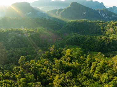 Hava görüntüsü İHA kamera yağmur ormanları ekolojisi sağlıklı çevre kavramı ve yaz arkaplanı