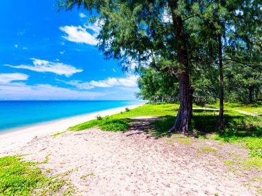 Muhteşem Top View deniz manzarası arka planı, kumlu deniz manzarası arka planına çarpan yaz dalgaları, yüksek açılı okyanus doğası