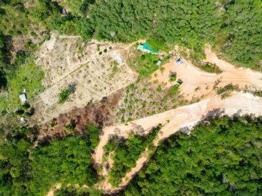 Çevresel açıdan tehlikeli bir dağ, Asya 'daki tropikal orman doğal manzarası, erozyonun insan tarafından uçurum olarak görülmesi koşuluyla toprak.