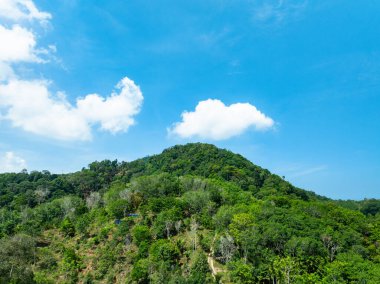 Hava görüntüsü Drone kamerası yağmur ormanları ağaçlarının tepesindeki ekoloji sağlıklı çevre konsepti ve yaz arkaplanı, yeşil çevre arka planı