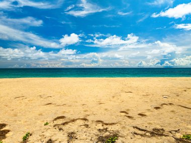 Tropik deniz manzarası arka plan, yaz denizi sahili arka plan