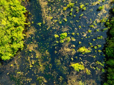 Aerial view top down Drone view over swamp or lake,Amazing nature view in the morning at Klong root lake Krabi Thailand