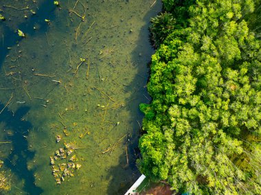 Aerial view top down Drone view over swamp or lake,Amazing nature view in the morning at Klong root lake Krabi Thailand