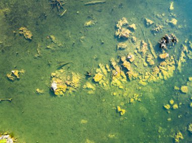 Aerial view top down Drone view over swamp or lake,Amazing nature view in the morning at Klong root lake Krabi Thailand