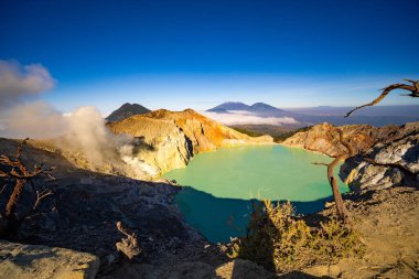 Turkuaz Su Gölü ile Deadwood Yapraksız Ağacı, Güzel doğa manzarası dağı ve Kawah Ijen volkanı, Doğu Java, Endonezya 'da yeşil göl