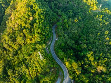 Hava görüntüsü İHA kamera yağmur ormanları ekolojisi sağlıklı çevre kavramı ve yaz arkaplanı